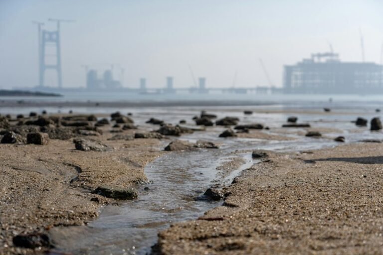 industry expansion analysis review