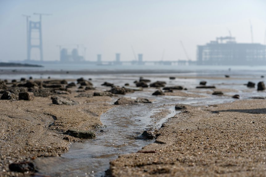 industry expansion analysis review