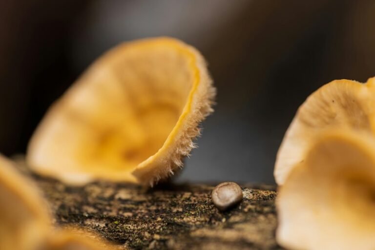 operational signal continuity report