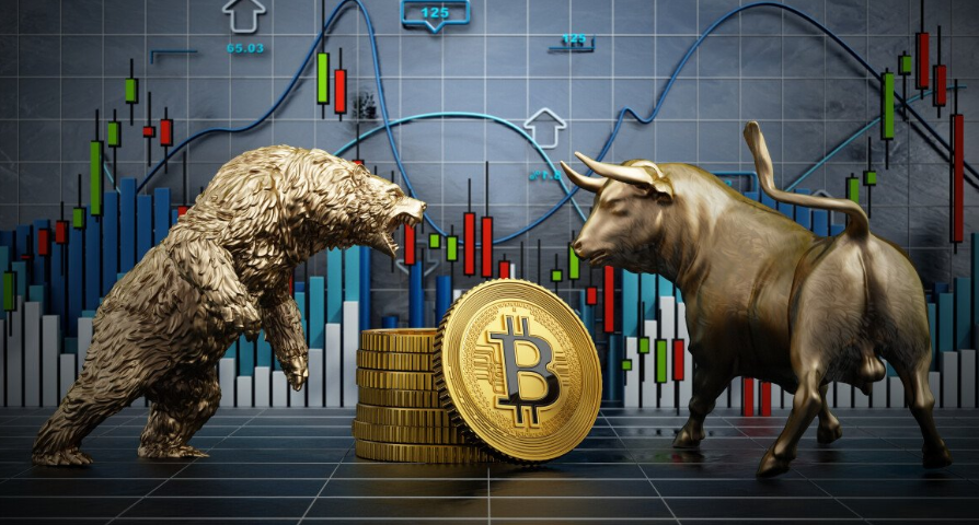 Bull Markets vs Bear Markets in Crypto